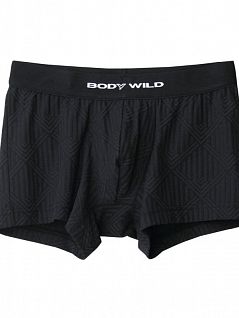 Мужские боксеры-брифы из тончайших нитей черного цвета BODY WILD BWE063Gc97 черный
