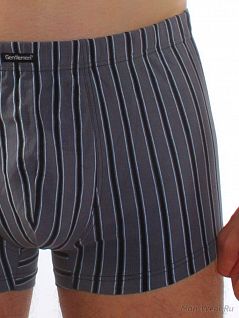 Серые мужские трусы в полоску Gentlemen SIGS5012