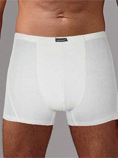 Нежные боксеры из хлопка и лайкры Gentlemen DTТм213 Бежевый