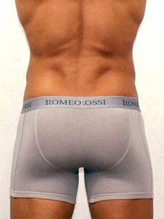 Светлые мужские трусы боксеры серого цвета Romeo Rossi Long boxers R7001-3