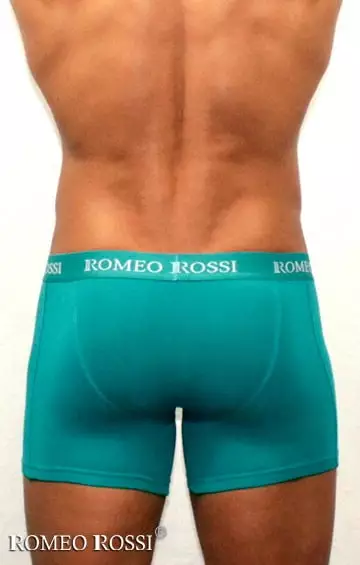 Зелёные мужские трусы боксеры с длинной штаниной Romeo Rossi Long boxers R7001-7 распродажа Зелёные мужские трусы боксеры с длинной штаниной Romeo Rossi Long boxers R7001-7 распродажа
