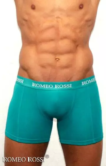 Зелёные мужские трусы боксеры с длинной штаниной Romeo Rossi Long boxers R7001-7 распродажа Зелёные мужские трусы боксеры с длинной штаниной Romeo Rossi Long boxers R7001-7 распродажа