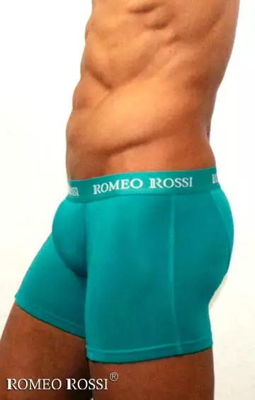 Зелёные мужские трусы боксеры с длинной штаниной Romeo Rossi Long boxers R7001-7 распродажа Зелёные мужские трусы боксеры с длинной штаниной Romeo Rossi Long boxers R7001-7 распродажа