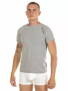 Мужская футболка из хлопка и эластана серого цвета DonDon RT501-01_06