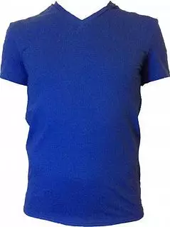 Повседневная футболка из хлопка и эластана Jolidon DTФМ17бл Blue
