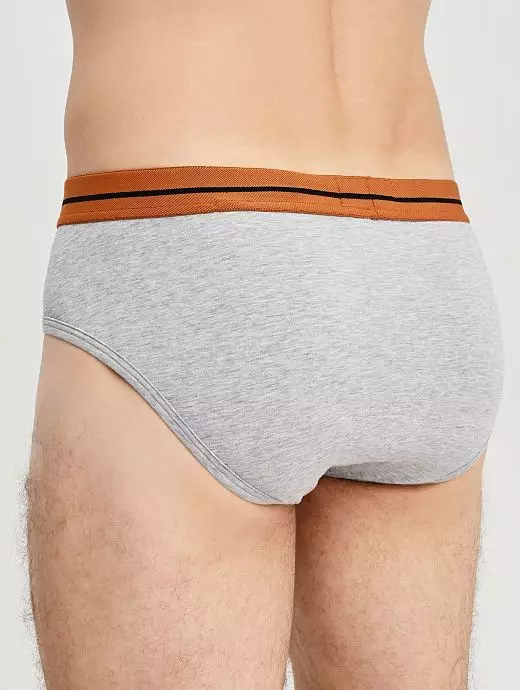 Хлопковые брифы анатомического кроя серого цвета Zegna N3L611570c032 Хлопковые брифы анатомического кроя серого цвета Zegna N3L611570c032