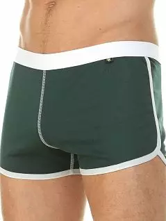 Комфортные шорты из мягкого хлопка зеленого цвета Van Baam RT39851