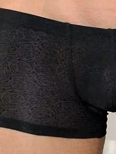 Мужские прозрачные хипсы с кружевным узором Romeo Rossi Erotic shorts R00203 распродажа
