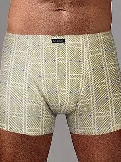 Мужские боксеры с необыкновенным дизайном Gentlemen DTТм54 Бежевый