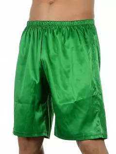 Мужские шорты удлиненные зеленого цвета Van Baam RT39265