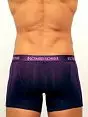 Фиолетовые мужские трусы боксеры с длинной ножкой Romeo Rossi Long boxers R7001-5