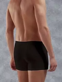 Уникальные облегающие мужские трусы-боксеры черного цвета Doreanse Adonis 1770c01 распродажа