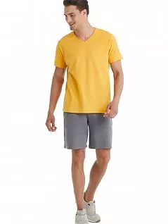 Мужская футболка с V-образным вырезом и небольшой и аппликацией LTBS40046 BlackSpade желтый