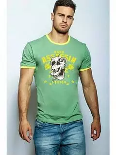 Мужская футболка из хлопка с принтом ASSASSIN зеленого цвета Epatag RT0906264m-EP