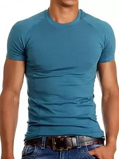 Мужская синяя футболка Doreanse For Everyday and Sport 2535c07 распродажа