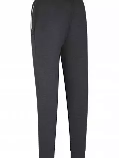 Хлопковые брюки с регуляцией температуры тела Gotzburg FG550249/S-3XL Серый
