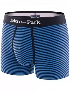 Боксеры трикотажные с эластичным пришивным поясом в полоску синего цвета Eden Park FM-E201F46-H82