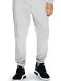 Мужские брюки джоггеры из эластичного хлопка Dreskod VODreskod_Spodnie dresowe DK11 03 Серый