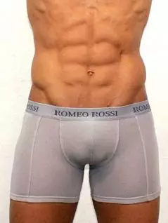 Светлые мужские трусы боксеры серого цвета Romeo Rossi Long boxers R7001-3