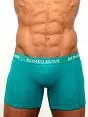 Зелёные мужские трусы боксеры с длинной штаниной Romeo Rossi Long boxers R7001-7 распродажа
