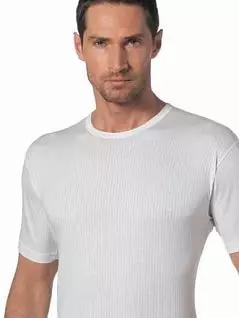 Хлопковая мужская футболка белого цвета в полоску Nottingham 2902 распродажа