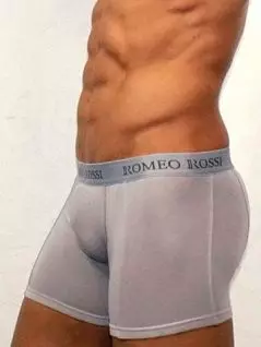Светлые мужские трусы боксеры серого цвета Romeo Rossi Long boxers R7001-3