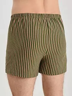 Легкие трусы шорты в полоску зеленого цвета Mey 37266c776