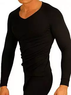 Теплая мужская футболка с длинным рукавом «Doreanse 2980c01 Thermo Comfort» черная