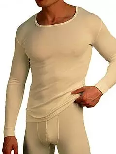 Теплая мужская футболка с длинным рукавом «Doreanse 2960c02 Thermo» белая распродажа