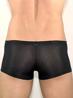 Мужские прозрачные хипсы с кружевным узором Romeo Rossi Erotic shorts R00203
