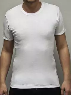 Мужская футболка из трикотажного полотна Gentlemen SIGT005 белый