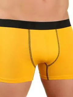 Мужские трусы из хлопка желтого цвета E5 Underwear RT15