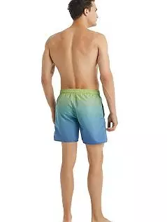 Пляжные шорты с оригинальной двойной расцветкой LTBS10422 BlackSpade сине-зеленый
