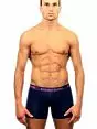 Фиолетовые мужские трусы боксеры с длинной ножкой Romeo Rossi Long boxers R7001-5 распродажа