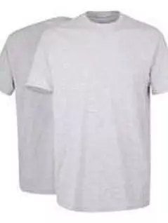 Набор футболок из хлопкового полотна сингл джерси (100% хлопок) (2шт) FG741274/S-3XL Серый Меланж