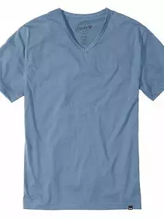 Повседневная футболка из хлопка и микрополиэстра голубого цвета Gotzburg FM-550136-2285