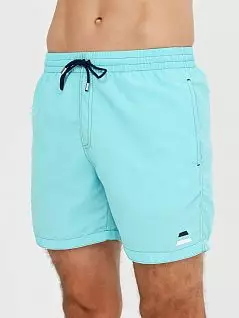 Пляжные шорты с сетчатой подкладкой голубого цвета Allen Cox 278303cacqua распродажа