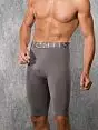 Мужские серые трусы боксеры макси Doreanse Long Boxers for Winter Collection 1785c30