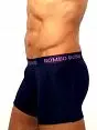 Фиолетовые мужские трусы боксеры с длинной ножкой Romeo Rossi Long boxers R7001-5