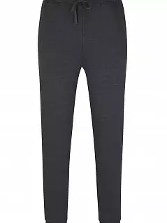 Хлопковые брюки с регуляцией температуры тела Gotzburg FG550249/S-3XL Серый
