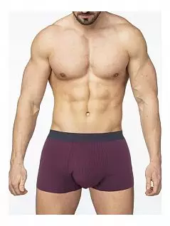 Мужские боксеры из мягкой ткани Sergio Dallini DTТсд29052 Фиолетовый