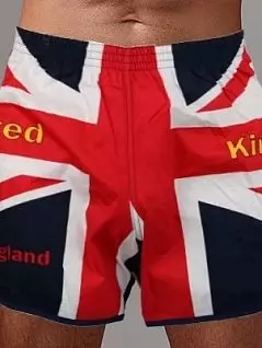 Свободного кроя трусы с изображением британского флага Lolita DTТсем Британский_флаг