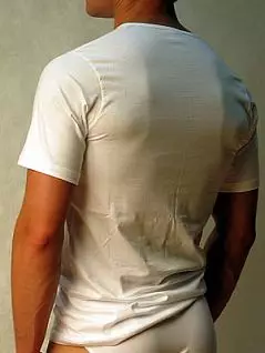 Классическая мужская футболка белого цвета Doreanse Cotton Basic 2510c02