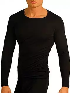 Теплая мужская футболка с длинным рукавом «Doreanse 2960c01 Thermo» черная распродажа