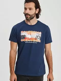 Мужская футболка из хлопковой трикотажной ткани синего цвета Allen Cox 736022cblu