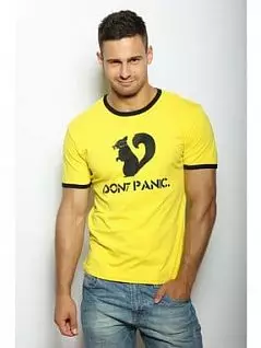 Мужская веселая футболка с принтом "Белки" желтого цвета Epatag RT060123m-EP