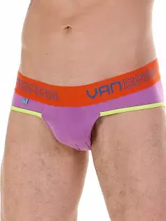 Мужские брифы на широкой резинке с логотипом фиолетового цвета Van Baam RT45203