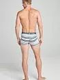 Красочные хипсы с гульфиком Jockey 193021H (муж.) Серый 456
