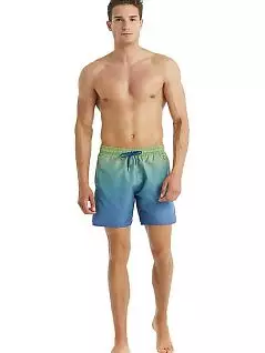 Пляжные шорты с оригинальной двойной расцветкой LTBS10422 BlackSpade сине-зеленый