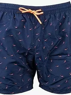 Купальные шорты с принтом "акулы" синего цвета Allen Cox 078304cblu